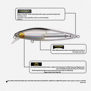 <span class=keywords><strong>Leurre</strong></span> VIB à hameçons renforcés, lancer longue portée, pêche en eau douce, appâts pour eaux moyennes, métal, Black Bass, Sea Bass, Croaker, Bream - Product Image 4