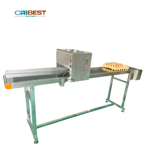 Food Industry Small Inkjet Printer Egg Expiry Date Printing Machine For Printing Letters On Eggs