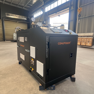 مولد كهرباء يعمل بالغاز الطبيعي بقدرة 20 كيلوواط و25 كيلو فولت أمبير، مبرد بالماء، كفاءة 90.5%، انبعاثات منخفضة، معتمد من CE - Product Image 1