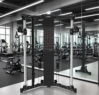 Système mural professionnel à double poulie | Machine à câbles à hauteur réglable pour l'entraînement complet du corps, la salle de sport à domicile et l'utilisation commerciale
