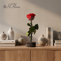 Rose éternelle à tige unique, toucher réel, prix d'usine, longue durée, pour la Saint-Valentin et le Nouvel An chinois
