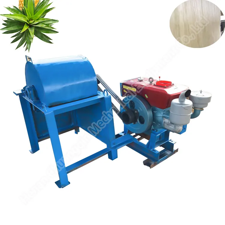 Machine d'extraction automatique de fibre de sisal, décorticateur de sapin de banane exporté de madagascar