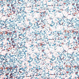 Ropa ecológica con impresión digital de diseño <span class=keywords><strong>italiano</strong></span> a la moda, <span class=keywords><strong>precio</strong></span> al por mayor - Product Image 6