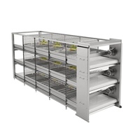 Nouvel équipement d'élevage de volailles, système de cages à batterie de type H galvanisé pour poulets de chair, environnement moderne contrôlé
