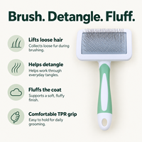 Nouvelle Brosse de Toilettage Douce pour Chien, Écologique et Confortable, en Plastique, pour Éliminer les Poils d'Animaux – Offre Spéciale