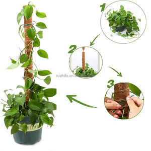 Vente en gros de poteaux en mousse écologiques pliables de 48 pouces pour plantes grimpantes, support en fibre de coco, extension, Monstera, utilisation au sol dans le jardin à domicile - Product Image 3