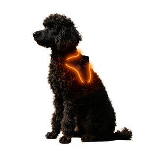 Semplice imbracatura per cani in fibra - Product Image 4