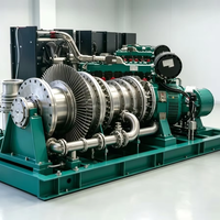 Unité de générateur de turbine à vapeur à contre-pression à condensation industrielle Bowzon pour la récupération de chaleur résiduelle de biomasse, ciment et acier