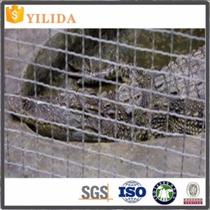 Customizable Sus 304 Stainless Steel <strong>Crimped</strong> <strong>Wire</strong> <strong>Mesh</strong> for Roast - Product Image 6