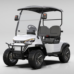 Anpassbarer 72V Elektro-Golfwagen mit 2 Sitzen, Geländegängiges Nutzfahrzeug, 7,5KW Motor, Curtis-Controller - Product Image 4