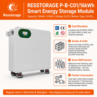 Batterie solaire LiFePO4 48V 16kWh 314Ah murale pour stockage d'énergie domestique hybride avec extension parallèle de 15 unités