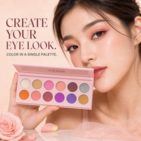 Palette de fards à paupières 12 couleurs avec illuminateur, résistante à l'eau, longue tenue, marque privée, outil de maquillage quotidien
