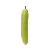 Graine de courge hybride Moon Star de qualité supérieure, pure à 99,99%, 85% de germination, 6% d'humidité, durée de conservation de 2 ans, origine Pakistan, 1% inertes