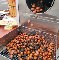 Torréfacteur multifonctionnel pour café, arachides, noix, fèves de cacao