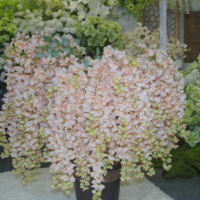Bunga Gantung Sutra Berkualitas Tinggi Wisteria Buatan Terlaris untuk Dekorasi Rumah dan Pernikahan, Hiasan Dinding dan Centerpiece