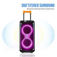 DR-8830 Nouveau Dual 8 Pouces RGB Light Trolley Haut-parleurs Guitar Amp Bass Combo Speaker For Street Performance