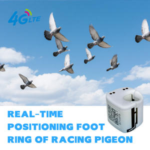 VN06 Parrot <span class=keywords><strong>Trackr</strong></span>, suivi GPS pour l'entraînement des pigeons de course, puce en plastique, anneau avec positionnement en temps réel, suivi des pigeons de course Eagle - Product Image 2