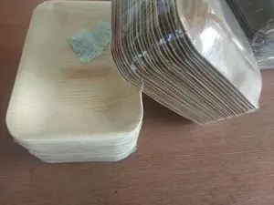 Piatti ecologici per noci di <span class=keywords><strong>Areca</strong></span> disposabili degradabili riciclaggio piatto usa e getta in foglia di palma - Product Image 5