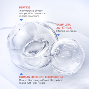 OEM Péptido Restauración Lazy Cream Blanqueamiento Hidratante Reparación Cremas faciales Durvillea <span class=keywords><strong>Antartica</strong></span> y tecnología coreana de liposoma - Product Image 5