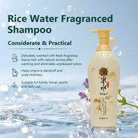Shampoo nourrissant à la fragrance d'eau de riz 800ml, marque privée OEM ODM, fabricant de soins capillaires, fournisseur en gros en Chine
