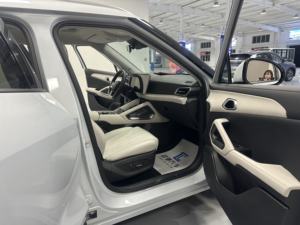 二手B码元UP 2024车型401公里高级版 - Product Image 5