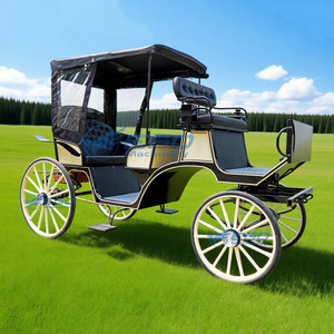 Carruaje Turístico Eléctrico, Carruaje Tirado por Caballos, Fabricantes Personalizan Carruajes para Bodas y Hoteles, Transporte Especial - Product Image 4