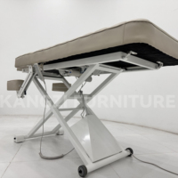 Table de massage électrique inclinable et lit de beauté réglable en hauteur avec cadre métallique – Mobilier de salon moderne et luxueux pour usage commercial