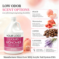 Monomère EMA en gros à faible odeur et pinceau acrylique sans MMA 120 ml – Liquide monomère pour poudre à ongles 3D