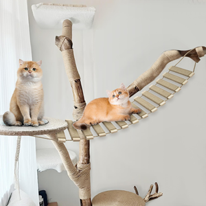 Best-selling Classic Adjustable Wooden Wall Mounted Cat Climbing <b>Frame</b> and Ladder with Eco-Friendly Design for Indoor Cats - Product Image 3