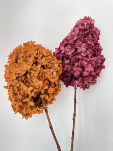 Grand <span class=keywords><strong>bouquet</strong></span> d'hortensia en bois vintage <span class=keywords><strong>bouquet</strong></span> de <span class=keywords><strong>fleurs</strong></span> séchées conservées tour d'orange <span class=keywords><strong>fleurs</strong></span> sèches <span class=keywords><strong>stabilisées</strong></span> hortensia pour la décoration de mariage - Product Image 2