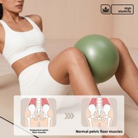 Mini ballon de yoga anti-éclatement 25 cm, petit ballon de Pilates pour l'entraînement du tronc, les exercices du plancher pelvien et la physiothérapie post-partum