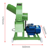Hachoir Électrique Polyvalent JIALONG en Acier Inoxydable 304, Capacité 200 kg/h, 220 V/110 V, pour Usage Domestique et Double Fonction (Broyeur de Bananes)