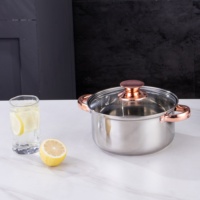 Ensemble de casseroles et poêles en acier inoxydable écoresponsable minimaliste 5 pièces avec couvercles en verre trempé, compatible gaz et induction