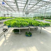 Table de culture Chenchao 4x8 avec bacs à semis en treillis soudé et banc de culture mobile pour semis de légumes