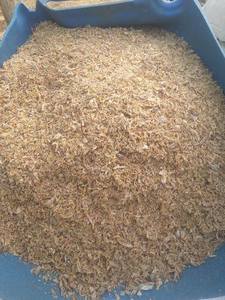 Bột Cá Động Vật Cua Tôm Dưa Chuột Biển Ngao Ngọc Trai/Tôm Đông Lạnh Giá Sỉ Tất Cả Hải Sản - Product Image 5