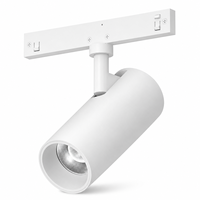 Rail magnétique LED super fin de 5 mm, éclairage sur rail réglable en aluminium, 6W COB LED, luminaires sur rail intelligents pour plafond, pour bureau/boutique/atelier