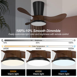 พัดลมเพดานติดไฟ 3 ใบพัดไม้ ขนาด 48 นิ้ว หลายสี โครงโลหะ+ABS มอเตอร์ DC พร้อมรีโมทคอนโทรล ระบบทำความเย็นด้วยอากาศ - Product Image 5