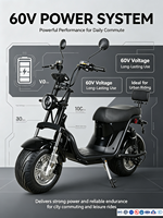 Nouveau Citycoco Électrique 2026 en Alliage d'Aluminium, Moteur Brushless 1000W, Étanche, Charge Utile 200kg, Meilleure Vente au Brésil