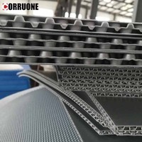 Usine Personnaliser Coloré Polypropylène PP Creux 4x8 Nid D'abeille Polion Feuilles En Plastique Ondulé Corex Danpla Conseil Cannelé