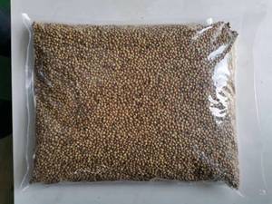 Olesale ICES PICES & ERBs Products Ried Coriander EEDS holesale orioriander - Product Image 2