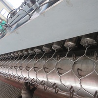 Machine de fabrication de treillis métallique hexagonal à double torsion horizontal, machine de fabrication de matrices à gabions