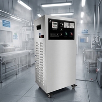 Générateur d'ozone électrique portable pour le traitement de l'eau et les machines d'élimination du gaz dans les voitures Hôtels RVs Garages