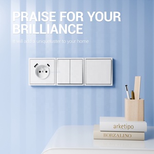 PC Plate Z Series <strong>Socket</strong> <strong>Outlet</strong> <strong>with</strong> USB A+C <strong>Single</strong> French <strong>Socket</strong> 16A Electrical Decorative <strong>Switches</strong> and <strong>Sockets</strong> - Product Image 3
