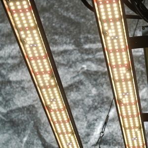 Luz LED de Cultivo para Plantas, Espectro Completo Azul y Rojo, IP65, Hidropónica, Disponible en Plantas de la UE, Barra de Luz de Cultivo Azul y Roja de 240W, desde China - Product Image 5