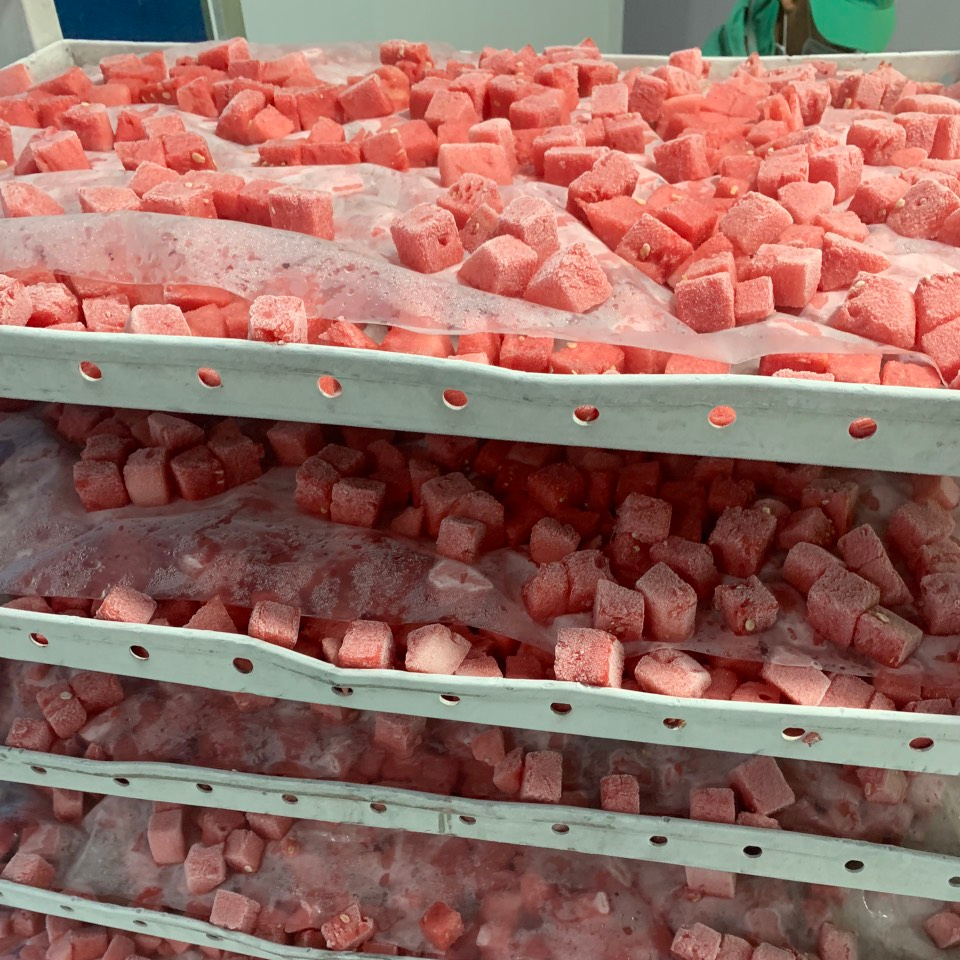 Ледяные кубики для замороженной арбуза из Вьетнама, замороженные фрукты высокого качества, вьетнамский арбуз, WhatsApp 0084989322607
