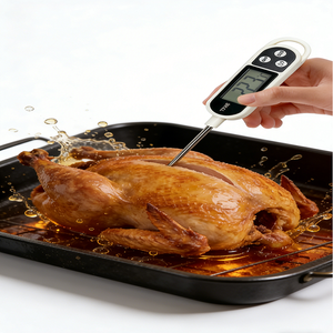Termômetro Digital de Plástico à Prova d'Água Lonnmeter TP300 para Alimentos, Resposta Rápida, Uso em Forno, Leite, Carne, Peru, Cozinha 1C - Product Image 2