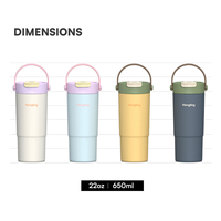Hong Ling 22 oz 손잡이와 과일 주입기가있는 스테인레스 스틸 진공 절연 텀블러