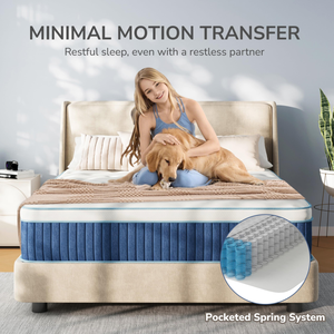 Materasso in Memory Foam Compresso, Topper Ortopedico in Lattice, Materasso Ibrido con Molle Insacchettate Impermeabile, Misure Queen e King - Product Image 3