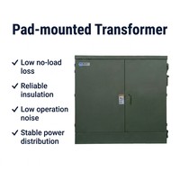 Transformateur monté sur socle anti-corrosion 500-2500KVA 13.2KV Triphasé 60Hz Protection IP54 Conception à faibles pertes pour zones tropicales humides