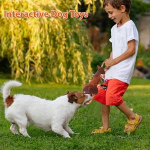 Turuncu kapalı Polyester PP pamuk lüks Pet köpek interaktif hareket çiğnemek oyuncaklar yeni gelenler - Product Image 6